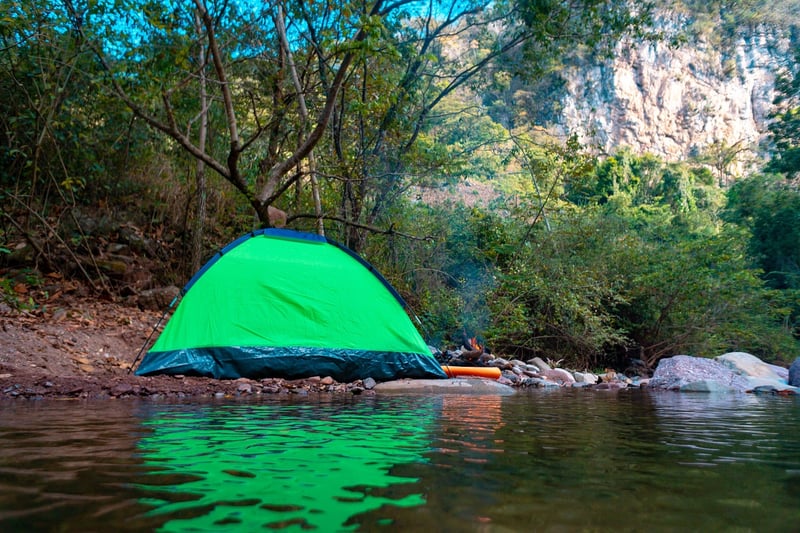 Forest Camping